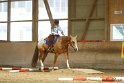 26-ApHC GT_199